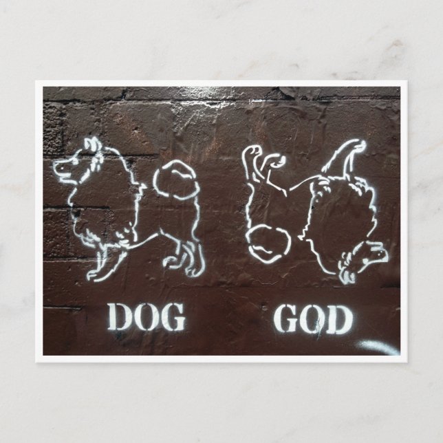 Cartão Postal deus cão (Frente)