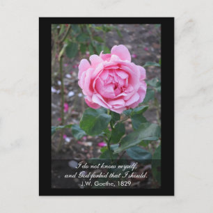 Cartão Postal Deus me livre de que eu me conheça - citação de Go