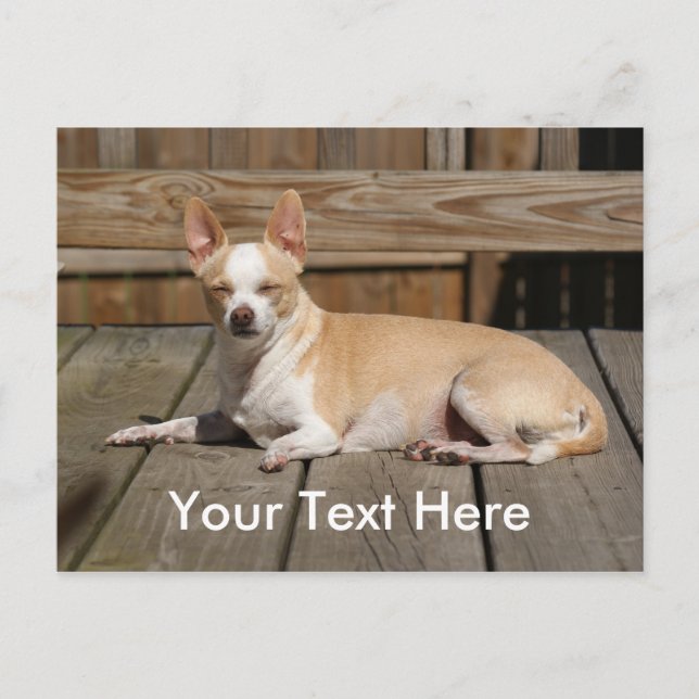 Cartão Postal Deusa de Sun (Frente)