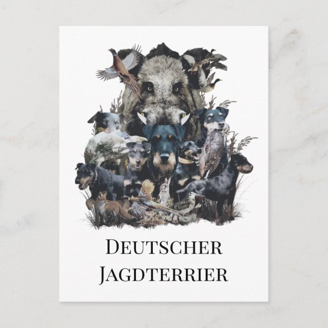 Cartão Postal Deutscher Jagdterrier (Frente)