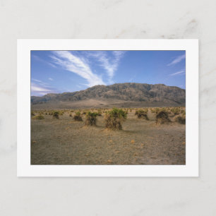 Cartão Postal "Devils Cornfield"