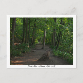 Cartão Postal Devils HoleNiagara Cai, NY