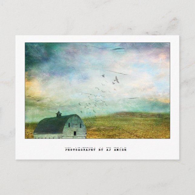 Cartão Postal devolva-me o céu aberto - (Frente)