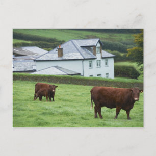 Cartão Postal Devon, Inglaterra