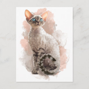 Cartão Postal Devon Rex Sofi