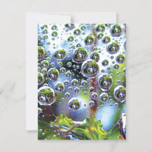Cartão Postal Dew Cai em Cascata no Céu, Mesmerizando Botânica