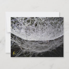 Cartão Postal Dew Drop Water Hammock Spider Web