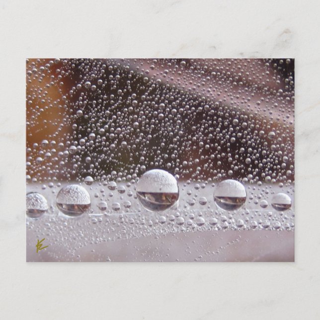 Cartão Postal Dew Drop Yin Yang Nature Meditation (Frente)