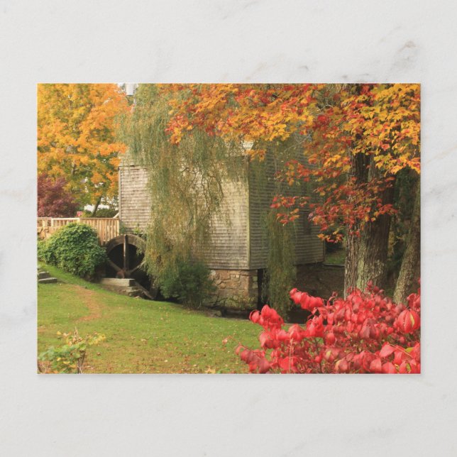 Cartão Postal Dexter Grist Mill Sandwich Cape Cod (Frente)