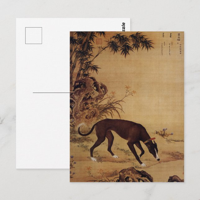 Cartão Postal Dez Cães Prizados - Moyuli (galgos chineses) (Frente/Verso)