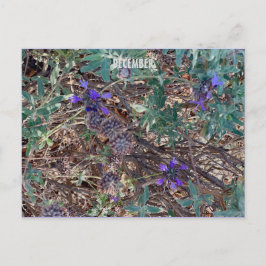 CARTÃO POSTAL DEZEMBRO