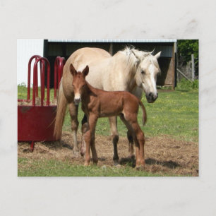 Cartão Postal Dia 1 - Cartão-postal de mãe e filho