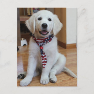 Cartão Postal Dia da Independência, 4 de julho