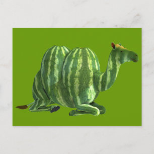 Cartão Postal Dia da Melancia Nacional Dromedário