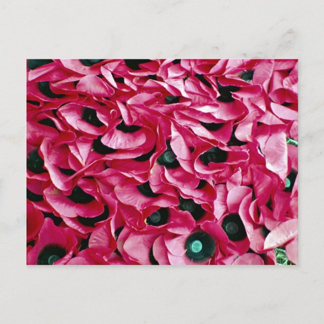 Cartão Postal Dia da Poppy (Frente)