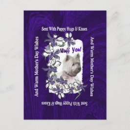 Cartão Postal Dia de as mães Adorável Terrier Terrier West Highl