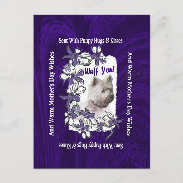 Cartão Postal Dia de as mães Adorável Terrier Terrier West Highl (Frente)