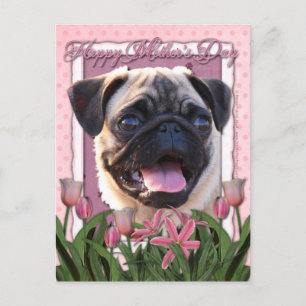 Cartão Postal Dia de as mães - Tulipas cor-de-rosa - Pug