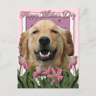 Cartão Postal Dia de as mães - Tulipas cor-de-rosa - Retriever d
