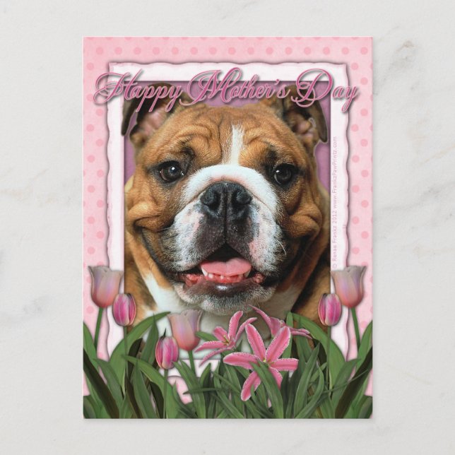 Cartão Postal Dia de as mães - Tulipas Rosa - Bulldog (Frente)