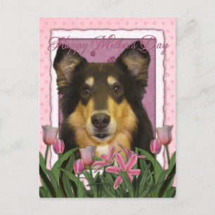 Cartão Postal Dia de as mães - Tulipas Rosa - Collie - Caroline