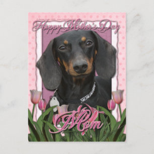 Cartão Postal Dia de as mães - Tulipas Rosa - Dachshund - Winsto