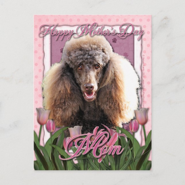 Cartão Postal Dia de as mães - Tulipas Rosa - Poodle - Chocolate (Frente)