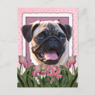 Cartão Postal dia de as mães - Tulipas Rosa - Pug