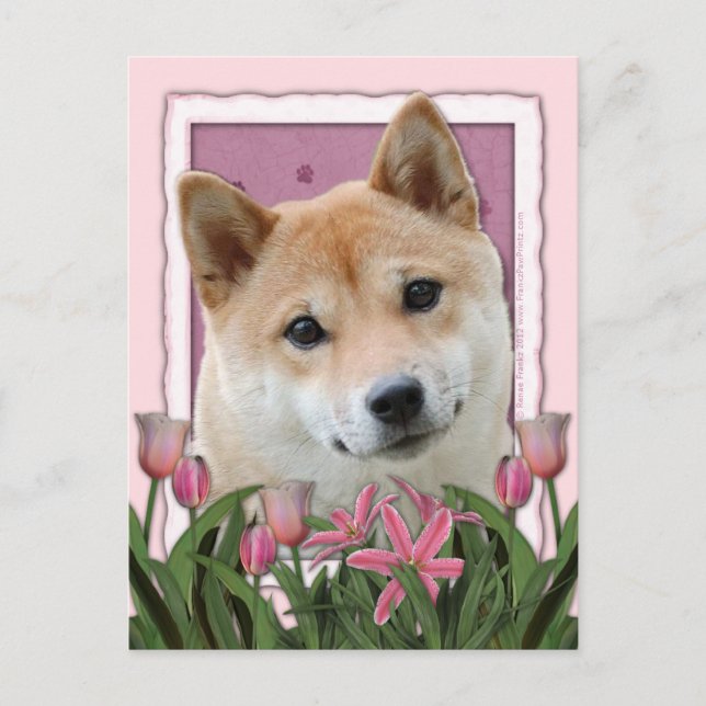 Cartão Postal Dia de as mães - Tulipas Rosa - Shiba Inu (Frente)
