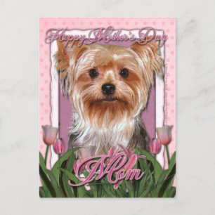 Cartão Postal dia de as mães - Tulipas Rosa - Yorkshire Terrier