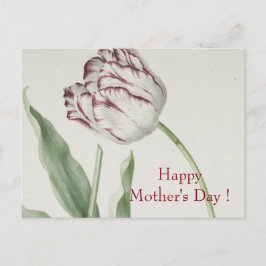 Cartão Postal Dia de as mães - Vintage Fine Art White & Red Tuli