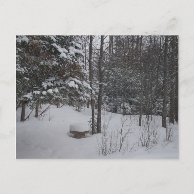 Cartão Postal Dia de inverno nevado (Frente)