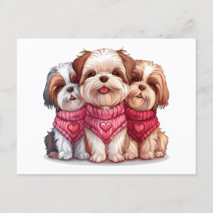 Cartão Postal Dia de os namorados Shih Tzu Dogs