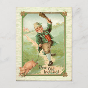 Cartão Postal Dia de São Patrício Vintage Leprechaun Pig Shillel