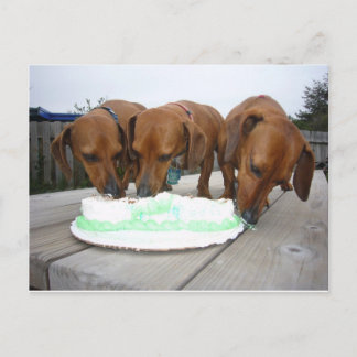 Cartão Postal Dia de St Pattys