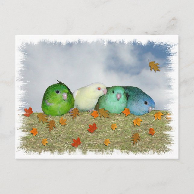 Cartão Postal Dia do outono (Frente)