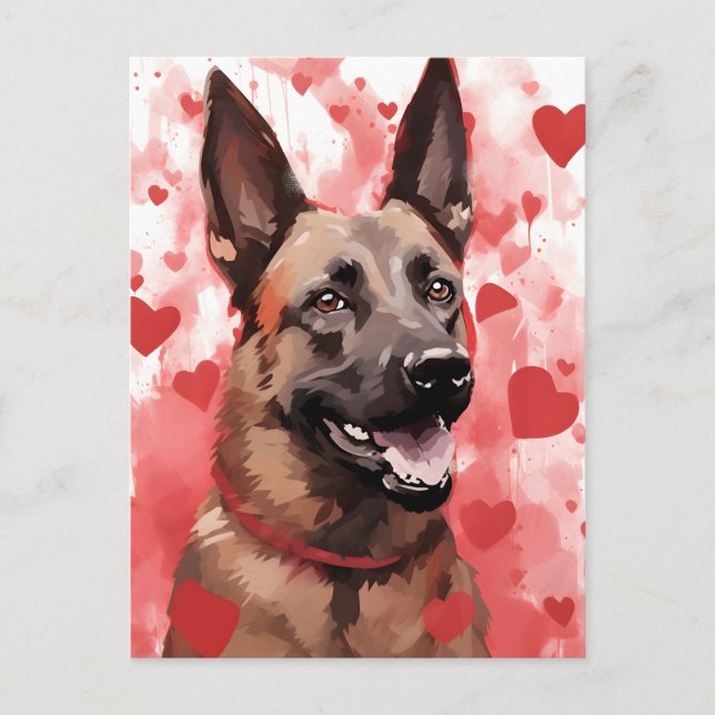Cartão Postal Dia dos Namorados do Malinois Belga (Frente)