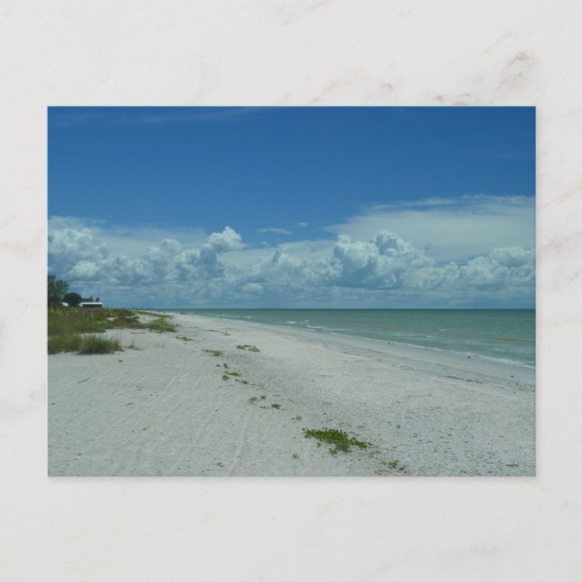 Cartão Postal Dia Em Uma Praia Tropical (Frente)