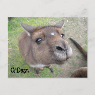 Cartão Postal Dia G.