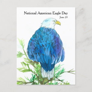 Cartão Postal Dia Nacional da Águia Americana 20 de junho