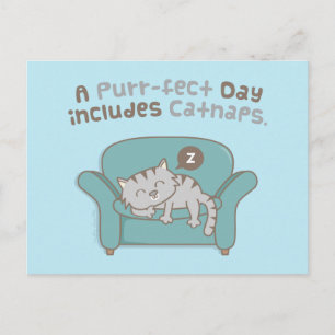 Cartão Postal Dia Perfeito com Piadas de Gatos e Sonecas Postcar
