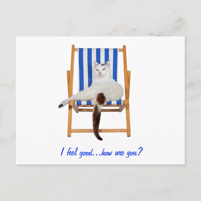 Cartão Postal Dia Preguiçoso (Frente)