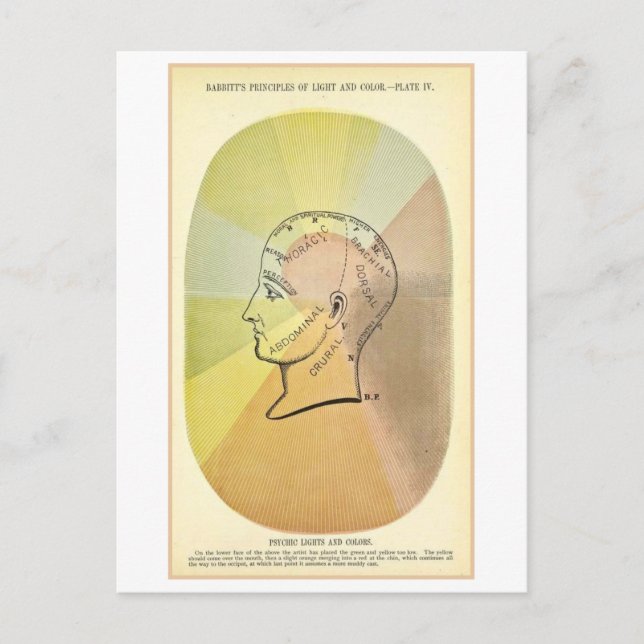 Cartão Postal Diagrama de Anatomia das Luzes e Cores Psíquicas (Frente)