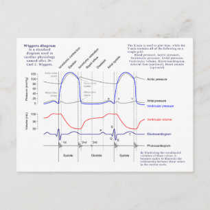 Cartão Postal Diagrama Wiggers