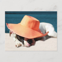 Cartão Postal Dias Cachorros de Verão no Mar