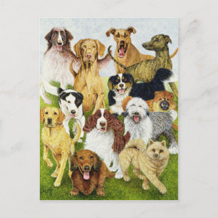 Cartão Postal Dias Cães