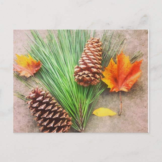 Cartão Postal Dias de outono (Frente)