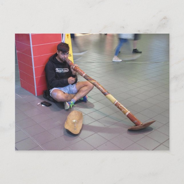 Cartão Postal Didgeridoo Busker em Sydney Postcard (Frente)