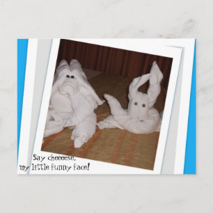 Cartão Postal Diga "Cheeeseee" meu pequeno rosto engraçado!