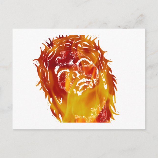 Cartão Postal Diga não à estupidez & à ignorância. Termine o (Frente)